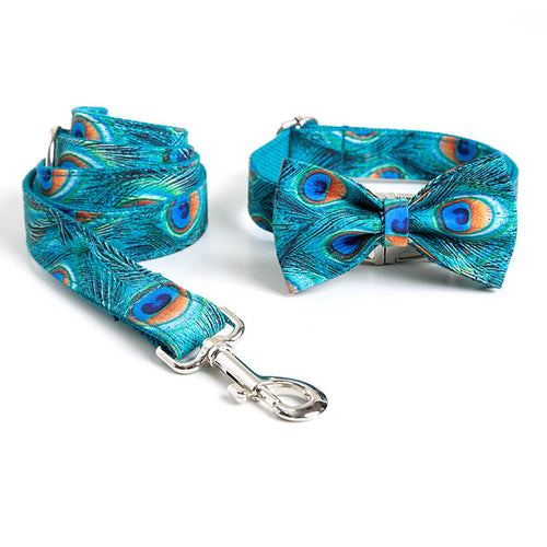 Custom Lettering Dog Collar with Personality Print